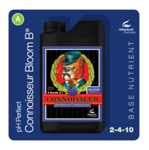 an-base-conbloomb
