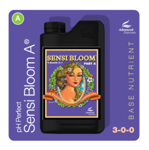 an-base-sensiblooma