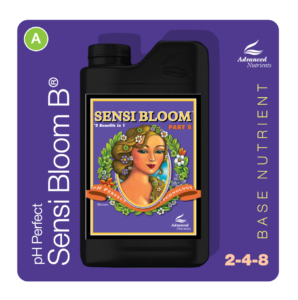 an-base-sensibloomb