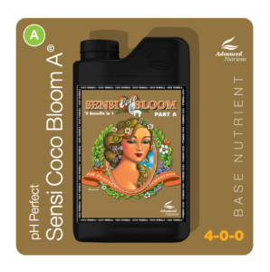 an-base-sensicocoblooma
