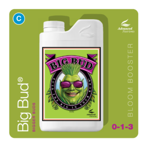 an-flo-bigbud