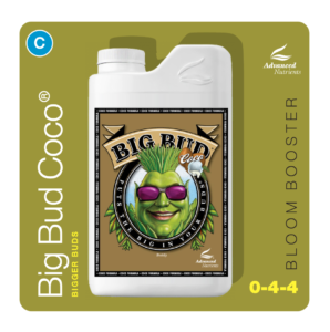 an-flo-bigbudcoco