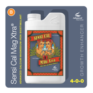 an-gro-sencicalmag