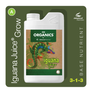 an-og-iguanagrow