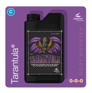 an-roo-tarantula