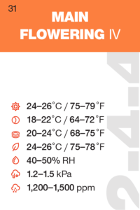 pos-31-600